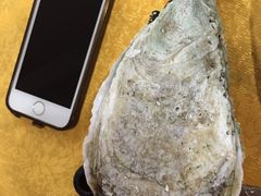 -蚝专家(北滘店)