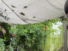 -吃货私房菜(丽江束河古镇店)