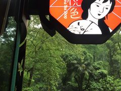-茶颜悦色(岳麓山顶店)