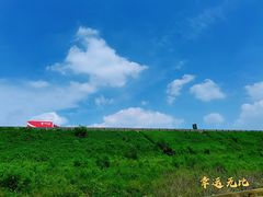 -东郊湿地公园