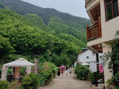 -白云源风景区