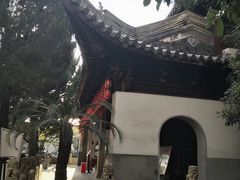 -秋霞圃