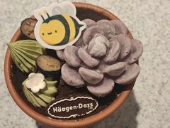 -哈根达斯(大悦城店)