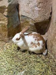 -酷嗒动物文化乐园(cutezoo西溪乐天城店)