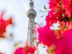 -文华公园(禅城区)