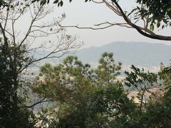 -火炉山森林公园
