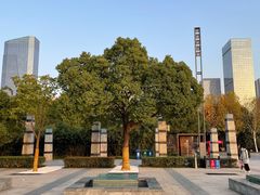 -天鹅湖体育公园