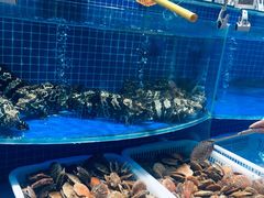 水产区-七鲜超市(通州ONE店)