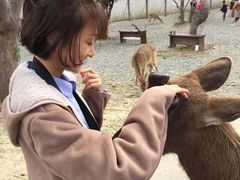-鹿境梅花鹿生态园区