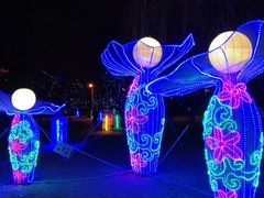 -长春公园(普阳街道)