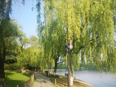 -西湖外事游船(花港观鱼码头)