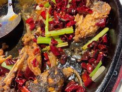 -老板恋上鱼(高新万达店)