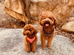 -碓臼峪自然风景区