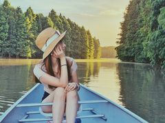 -上海海湾国家森林公园