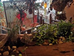 -叶叶菩提·晋福宫