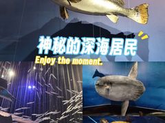 -武汉园博园(武汉自然博物馆)