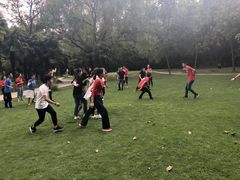 -共青国家森林公园-售票处
