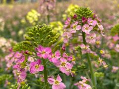 -中国天府农业博览园