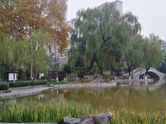 -西安市长乐公园