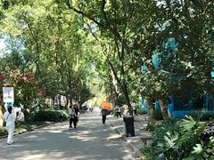 -柳州市动物园