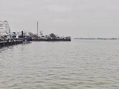 -鱼珠码头(轮渡站)