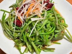 -菌自由丨野生菌火锅特色庭院餐厅(丽江古城店)