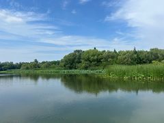 -溱湖国家湿地公园