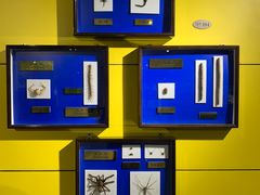 -上海昆虫博物馆