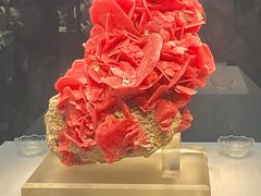 -湖南省地质博物馆