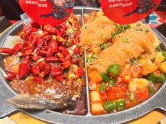 肥猫经典麻辣烤鱼-南锣南门