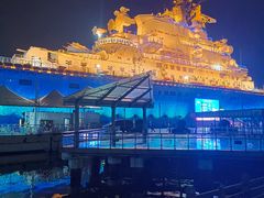 -泰达航母主题公园