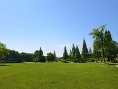 -宜兴龙背山森林公园