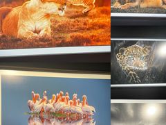 -罗红摄影艺术馆