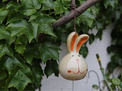 iphone_upload_pic-海边的猫和咖啡馆