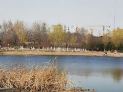 -永定河休闲森林公园