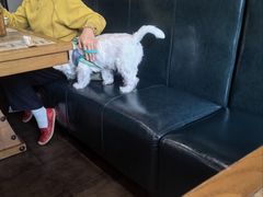 -苗姑酒堂(仁义社区店)
