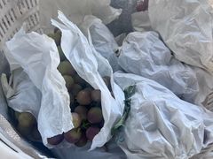 -马陆小张葡萄园农家乐