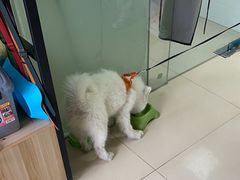 -圣宠动物医院·犬猫专科·影像中心·外科中心