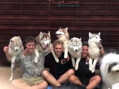 -TrueLove @ Neverland (Husky Cafe)
