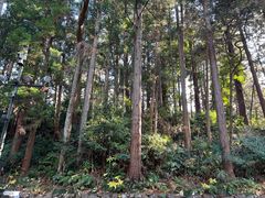 -瑞凤殿(Grave of Date Masamune)