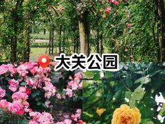 -大关公园