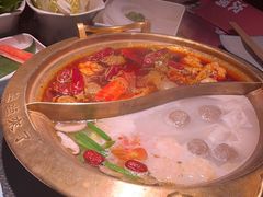 -熊喵来了火锅(太原里第2分店)