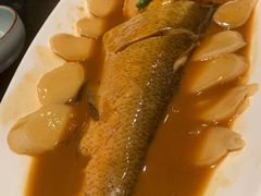 红烧白鱼-苏帮袁Sue Cuisine(将台店)