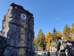 -汤旺河林海奇石景区