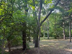 -黑龙江省森林植物园