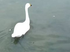 -五缘湾湿地公园