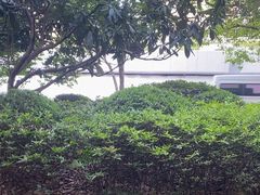 -春花秋色城市公园