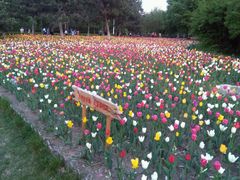 -长春公园(普阳街道)