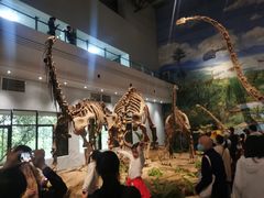 -自贡恐龙博物馆