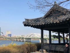 -仙游岛公园